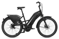 GIANT Električni bicikl  DELIVERY E+ One Size, 500 Wh 
